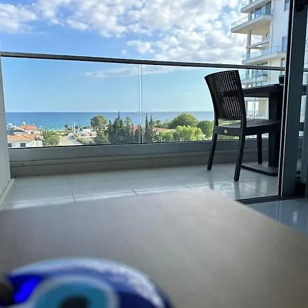Seaview Abelia - Kapali *